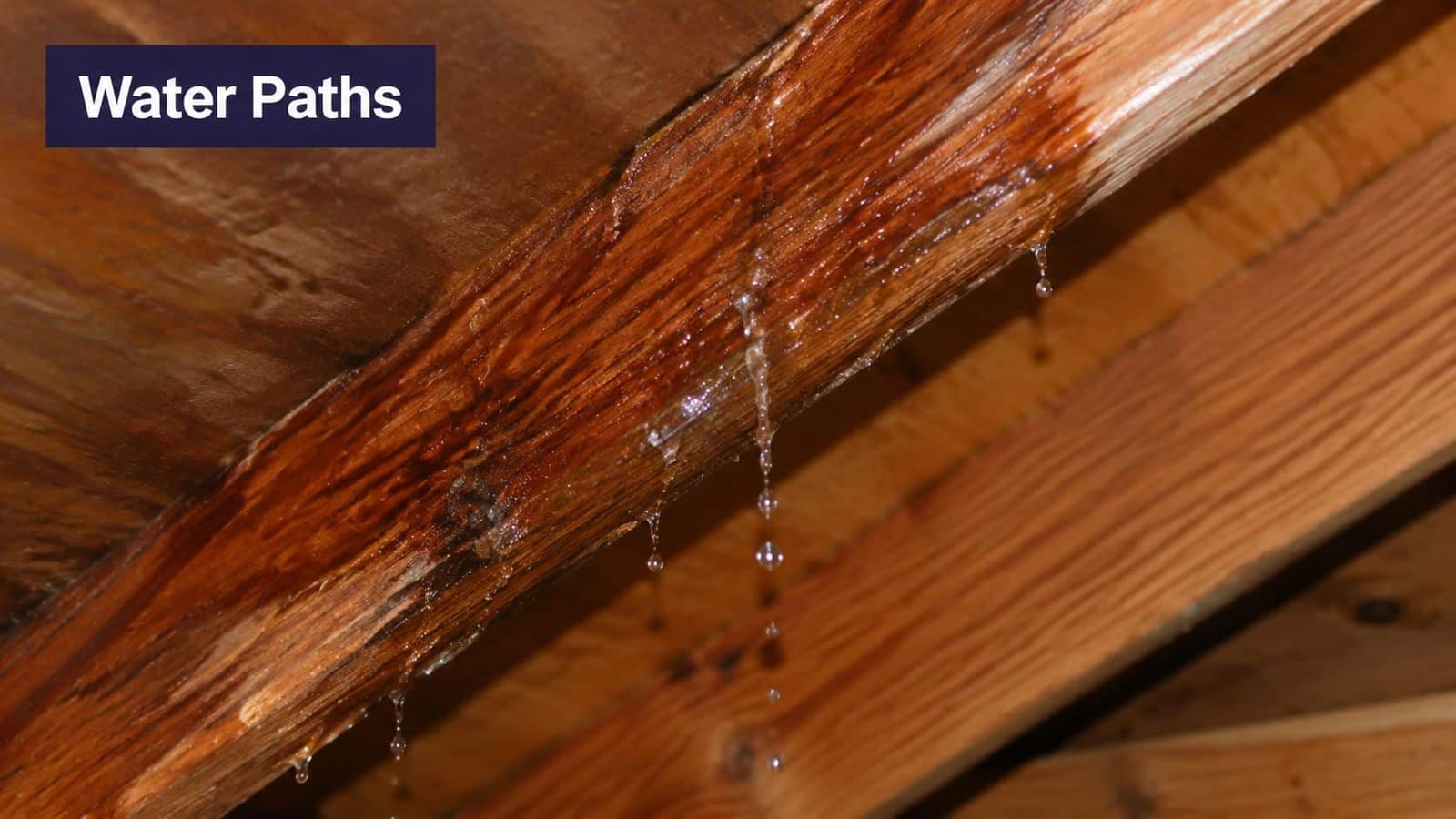 Water dripping from a water-damaged wooden roof beam inside an attic indicating a serious leak.